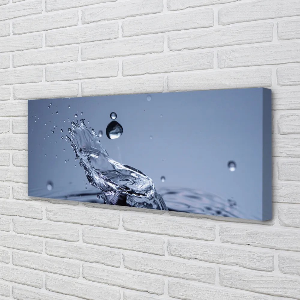Duży obraz na płótnie Pojedyncza Kropla Rosy