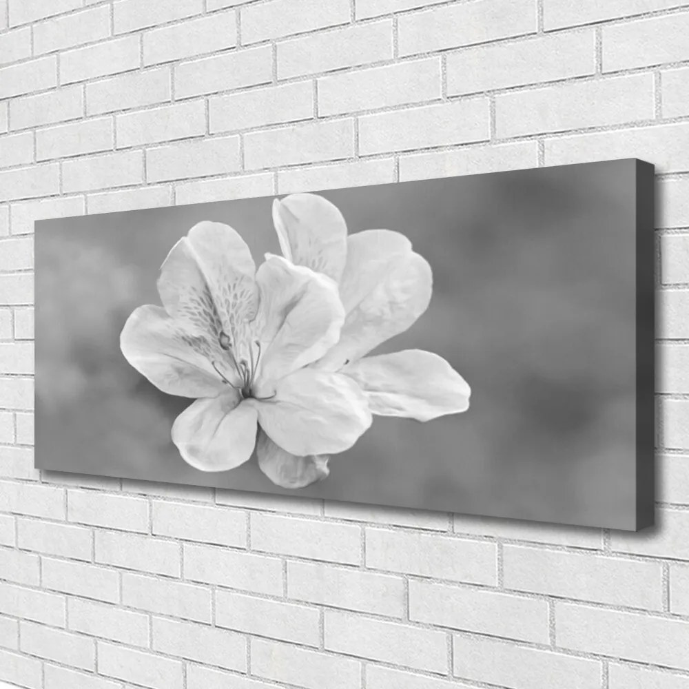 Obraz canvas na ścianę Kolorowy Ogród na Płótnie