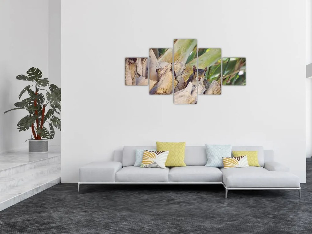 Obraz wiewiórki na drzewie (125x70 cm)