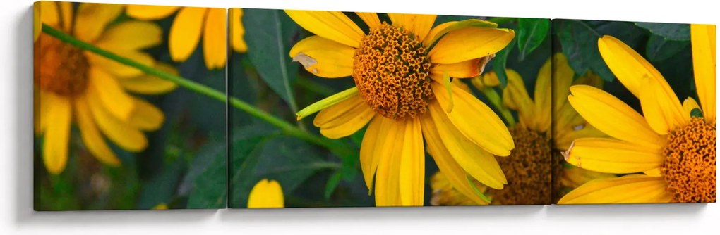 Obraz żółtych kwiatów (170x50 cm)