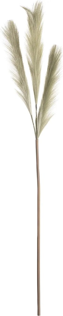 Trawa pampasowa 110cm green
