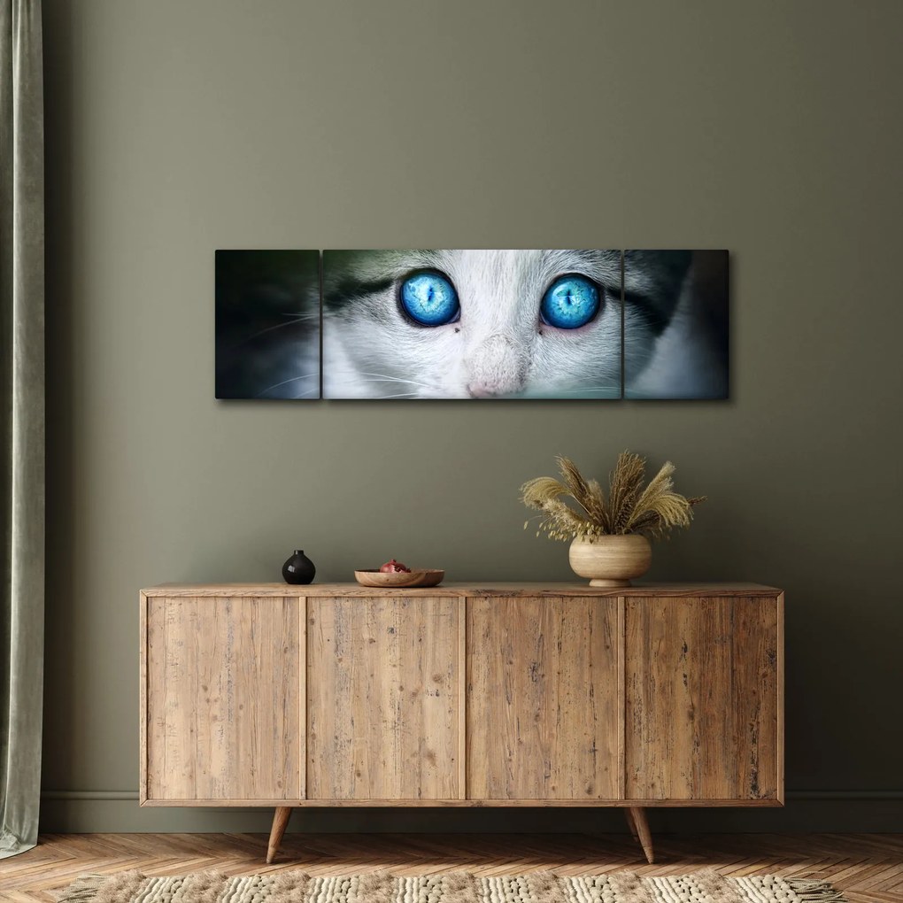 Obraz kota (170x50 cm)