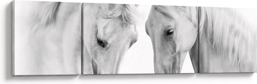 Obraz białych koni (170x50 cm)