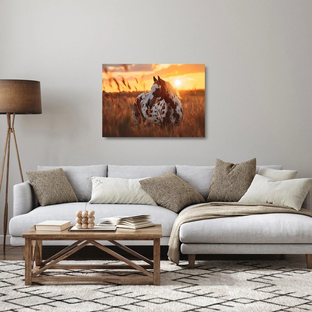 Obraz na szkle - Koń o zachodzie słońca (70x50 cm)