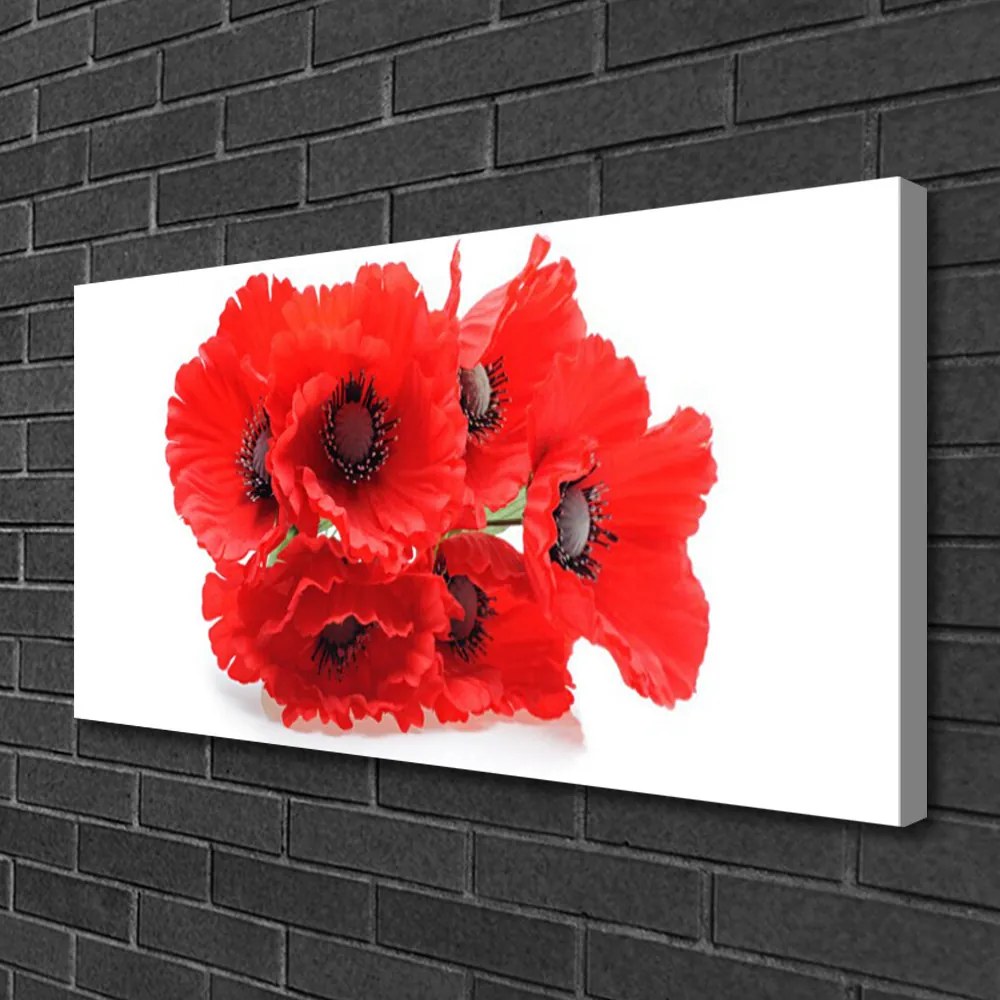 Obraz drukowany na płótnie Zestawienie Kwiatowych Motywów