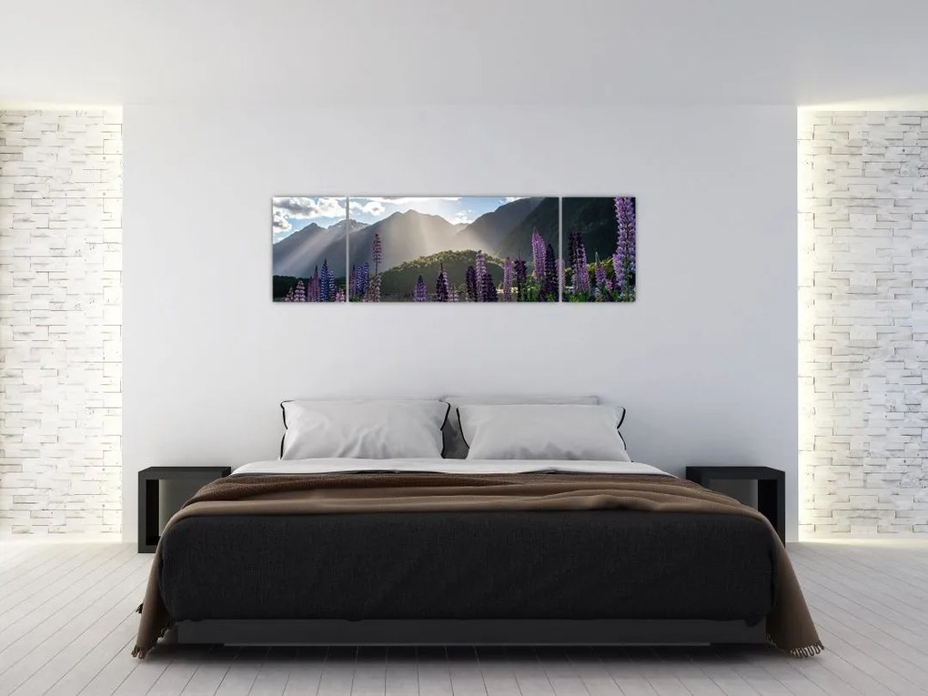 Obraz - Sceneria łubinów (170x50 cm)
