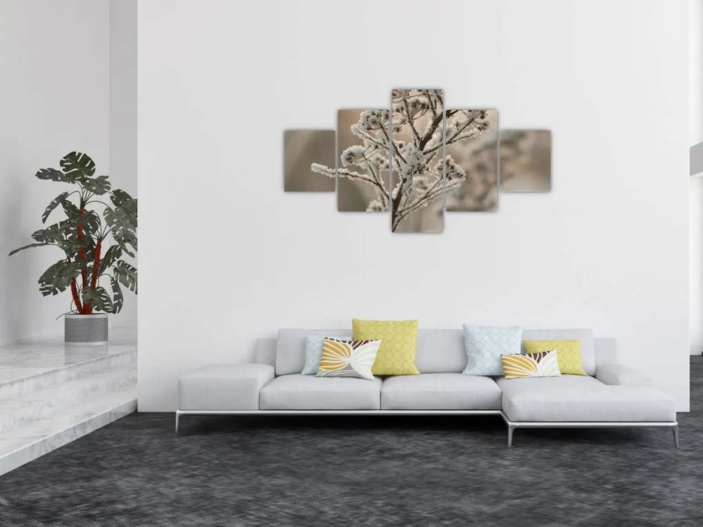 Obraz - Roślina w mrozie (125x70 cm)