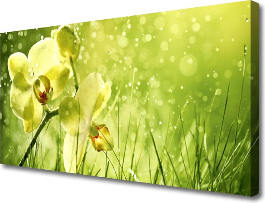 Obraz canvas Świeżość Zielonych Źdźbeł