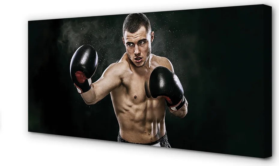 Duży obraz na płótnie Gotowość Do Walki