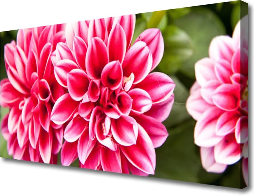 Obraz canvas Wyrafinowana Flora Ścienna