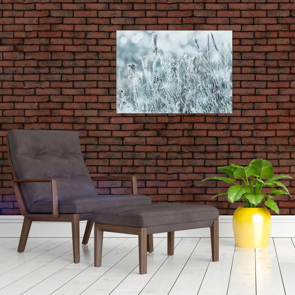 Obraz - Magia zimy (70x50 cm)