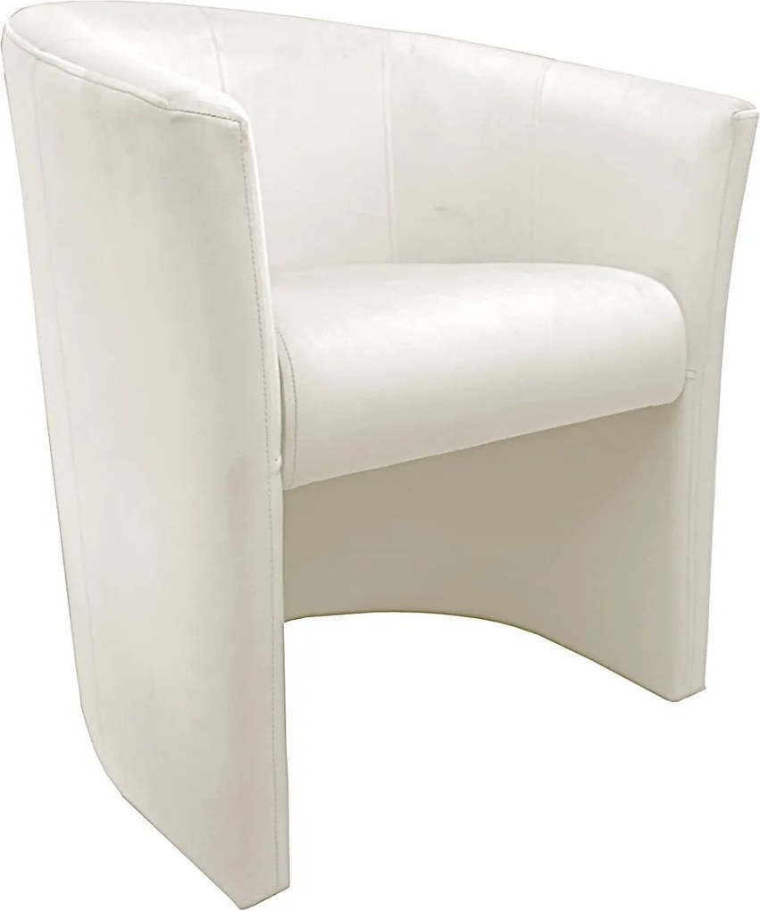 Fotel CLUB tkanina Welur elegancki fotel tapicerowany do salonu i gabinetu : Kolor tkaniny - VELVET - MG50