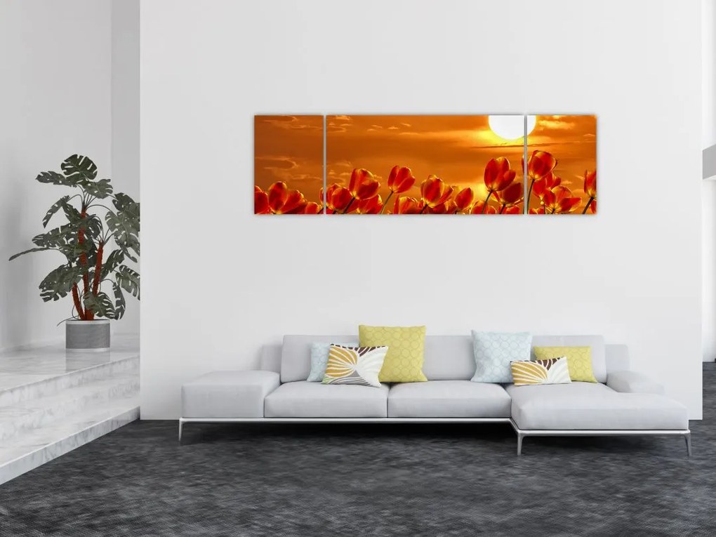 Obraz kwitnącego pola z tulipanami (170x50 cm)