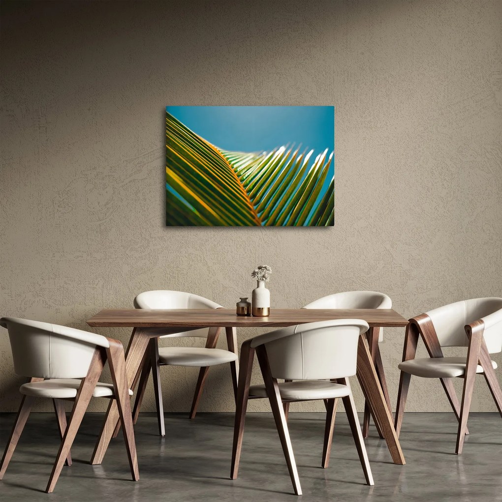 Obraz - Detal liścia palmowego (70x50 cm)