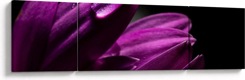 Obraz - Kropla wody (170x50 cm)