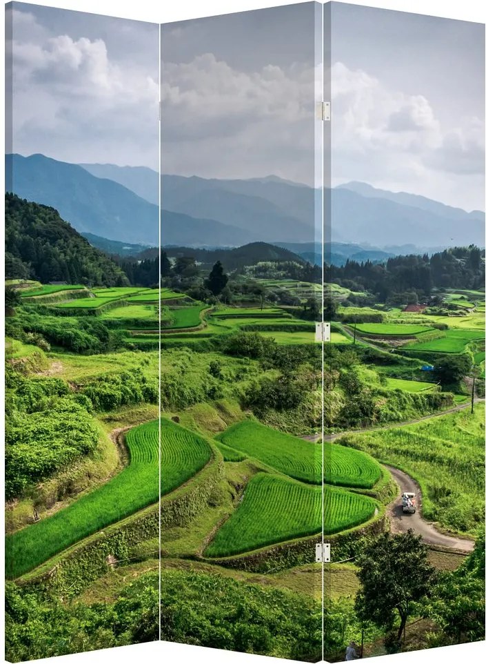 Parawan - Pole ryżowe (126x170 cm)