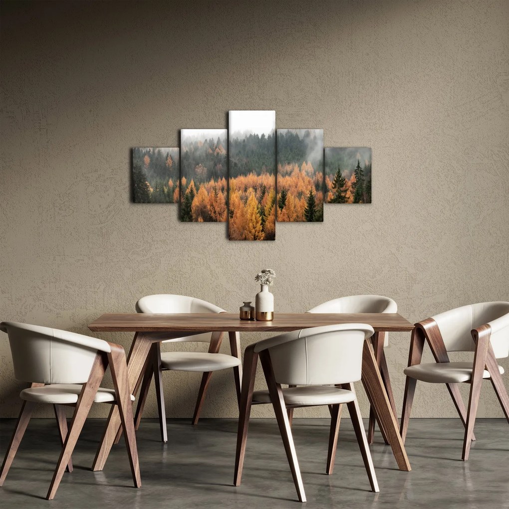 Obraz - Jesienny las (125x70 cm)