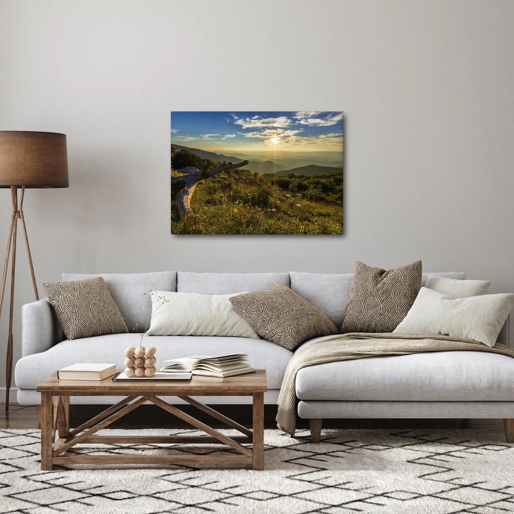 Obraz - Widok na otoczenie (70x50 cm)