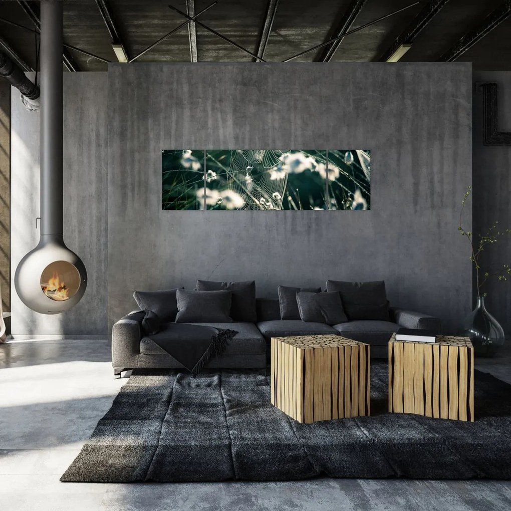 Obraz - Pajęczyna (170x50 cm)