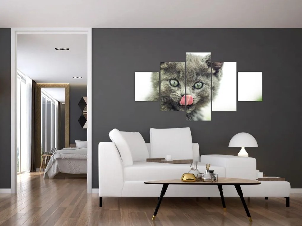 Obraz oblizującego się kotka (125x70 cm)