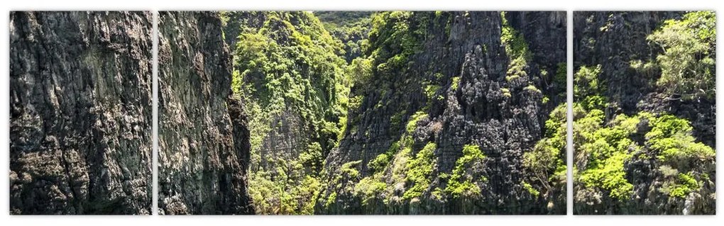 Obraz górskiej rzeki (170x50 cm)