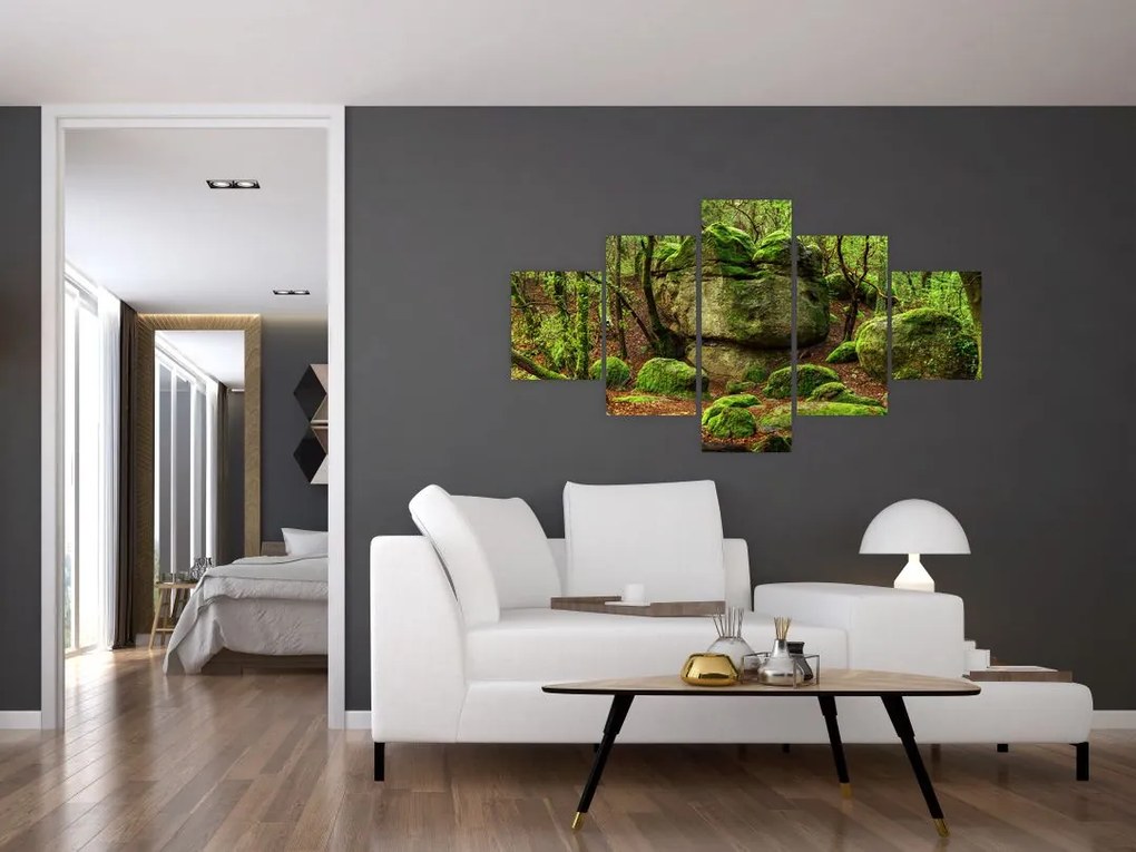 Obraz magicznego lasu (125x70 cm)
