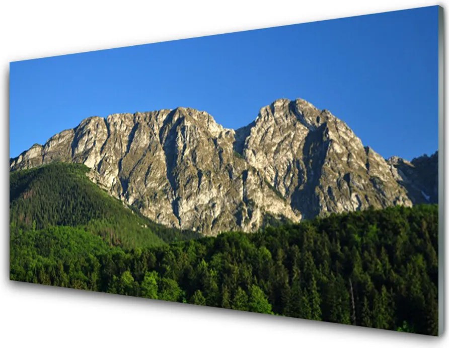 Szkło Ozdobne do Kuchni Górska Przystań W Lesie