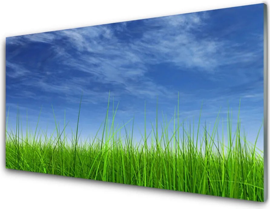 Panel Kuchenny Horyzont Nad Zieloną Łąką