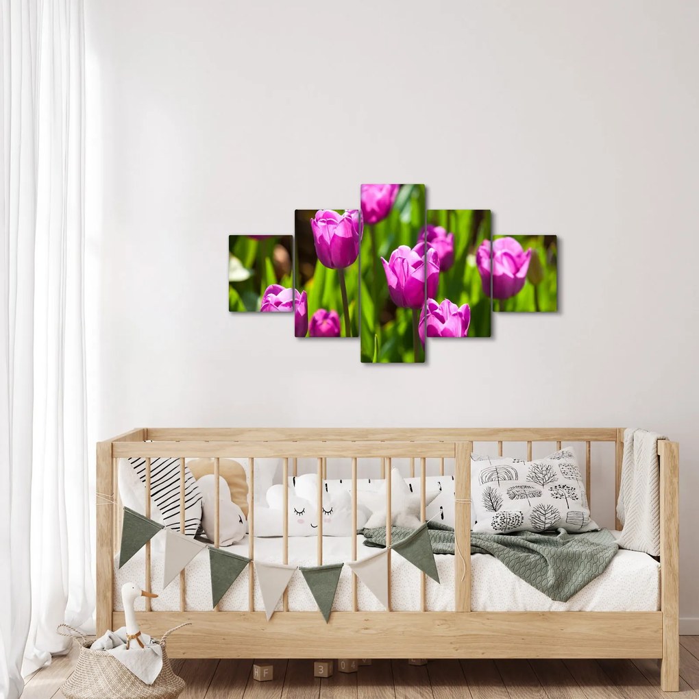 Obraz tulipanów na łące (125x70 cm)