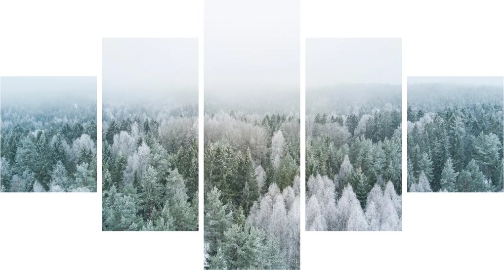 Obraz - Ośnieżone szczyty lasów (125x70 cm)
