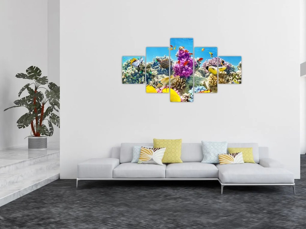 Obraz - Morski świat (125x70 cm)