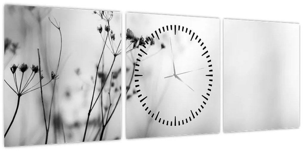 Obraz - Detal kwiatów polnych (z zegarem) (90x30 cm)