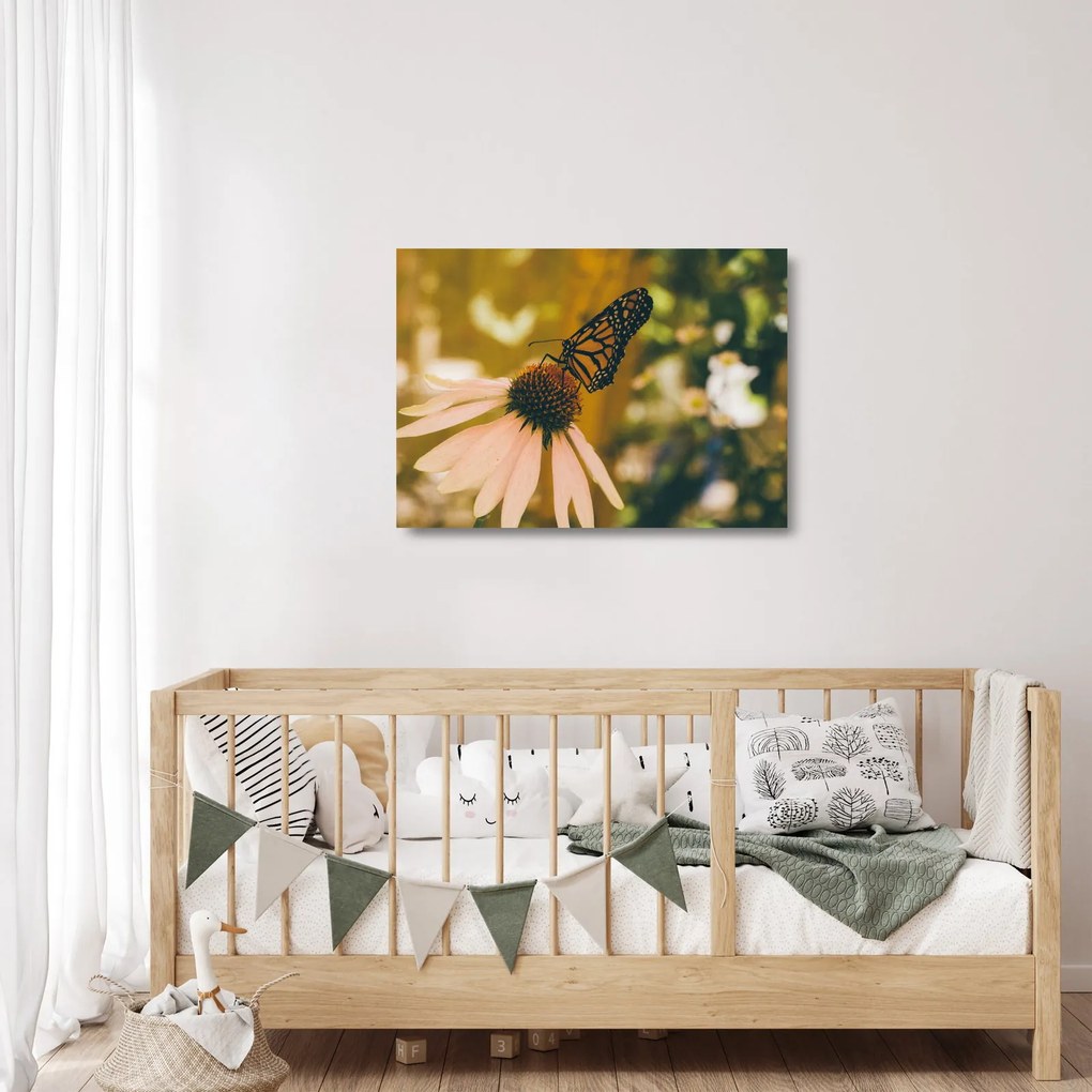 Obraz na szkle motyla na kwiatku (70x50 cm)
