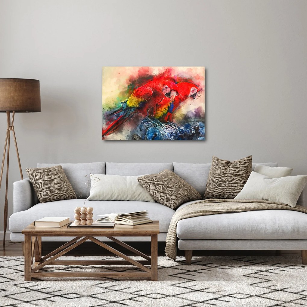 Obraz czerwonych papug Ara (70x50 cm)