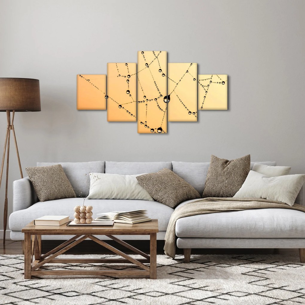 Obraz zroszonej pajęczyny (125x70 cm)