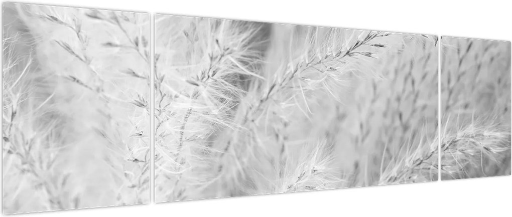 Obraz - Trawa pampasowa N⁰1 (170x50 cm)