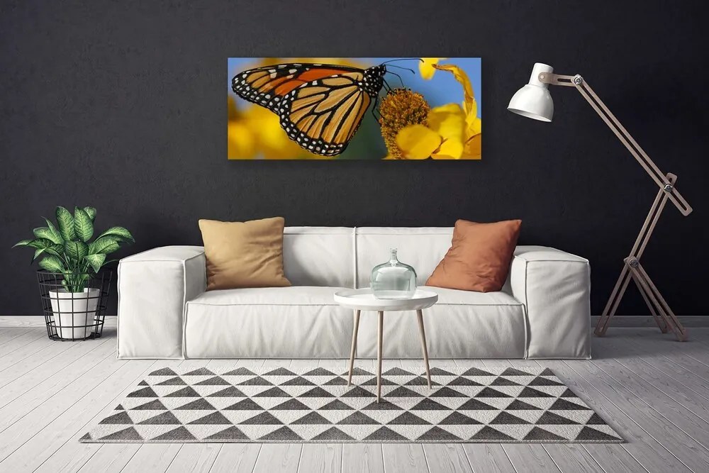 Obraz canvas na ścianę Kolorowy Motyl na Kwiatku