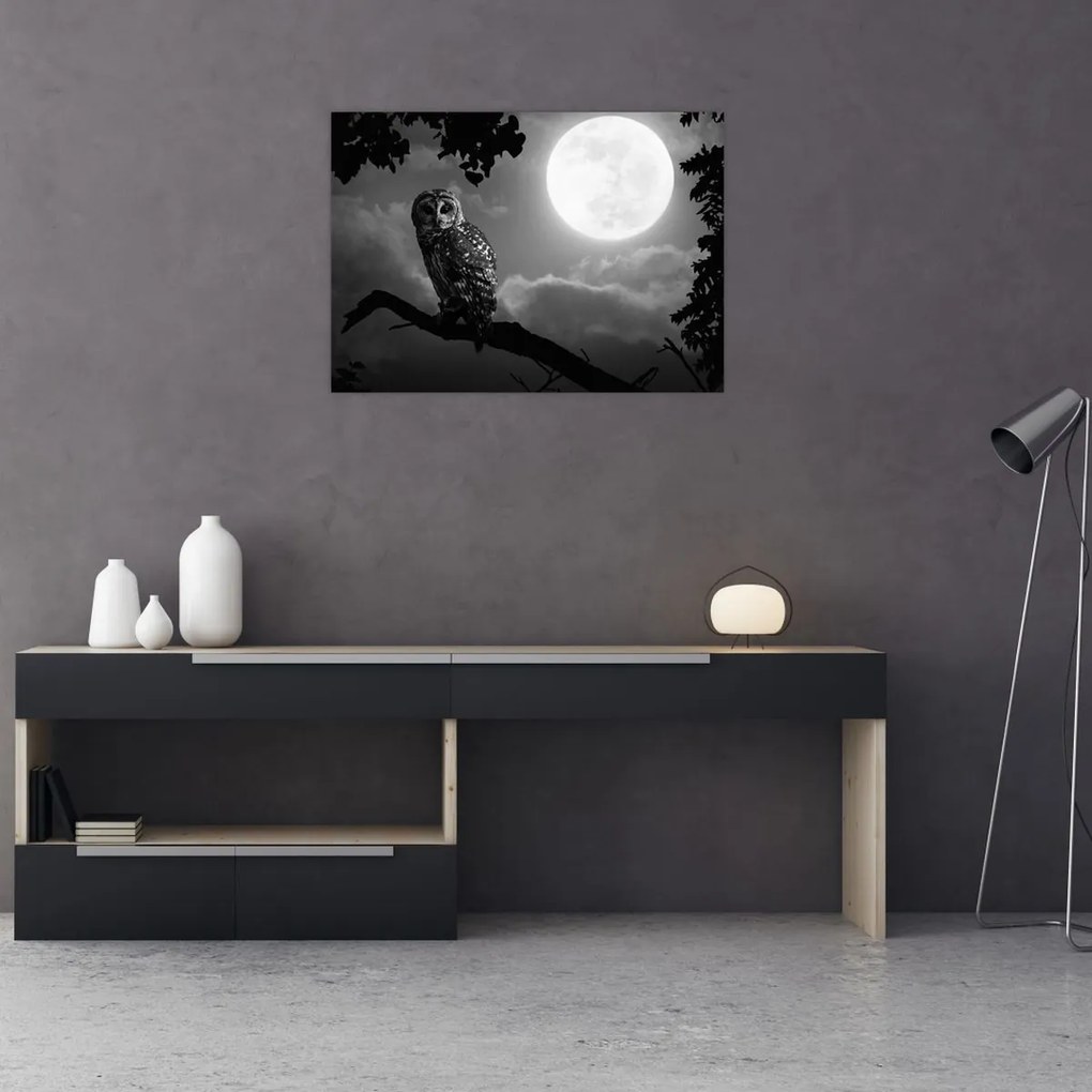 Obraz - Nocna sowa, czarno-biały (70x50 cm)