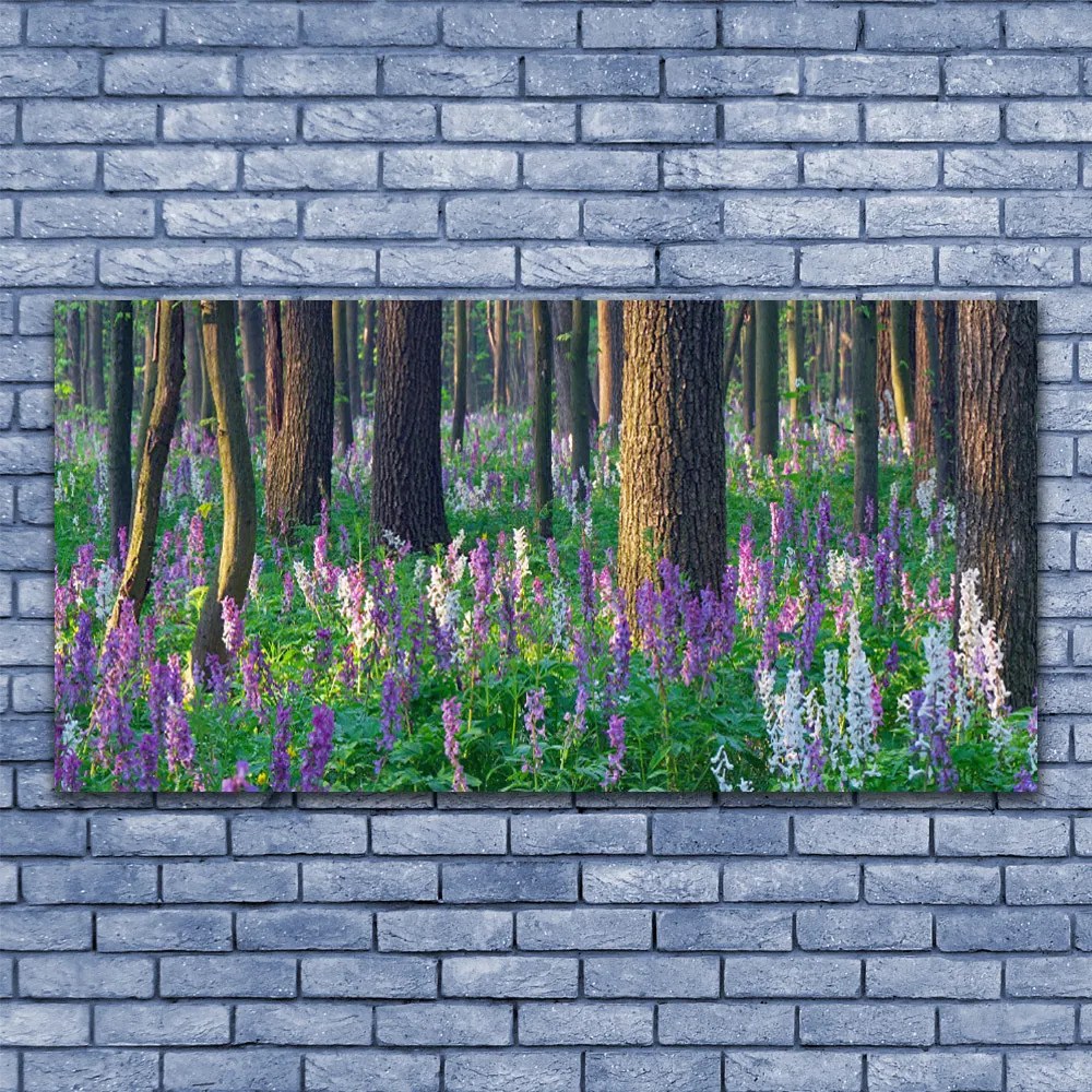 Obraz Akrylowy Las Kwiaty Natura