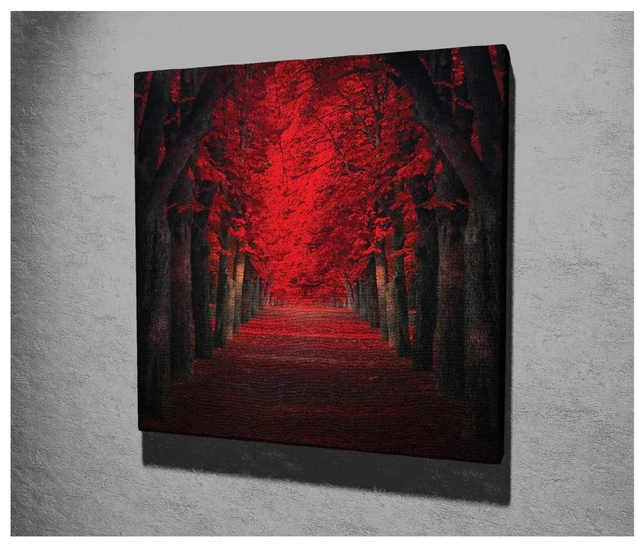 Obraz na płótnie Red Trees, 45x45 cm