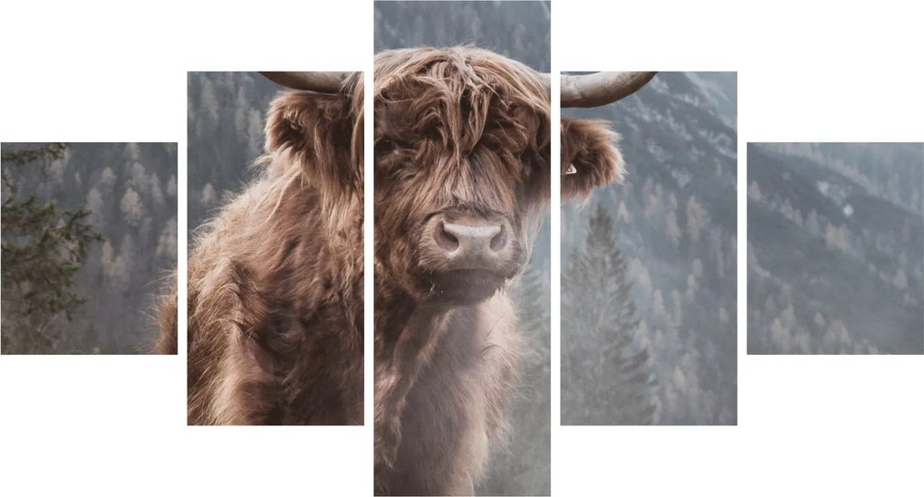 Obraz - Krowa góralska (125x70 cm)
