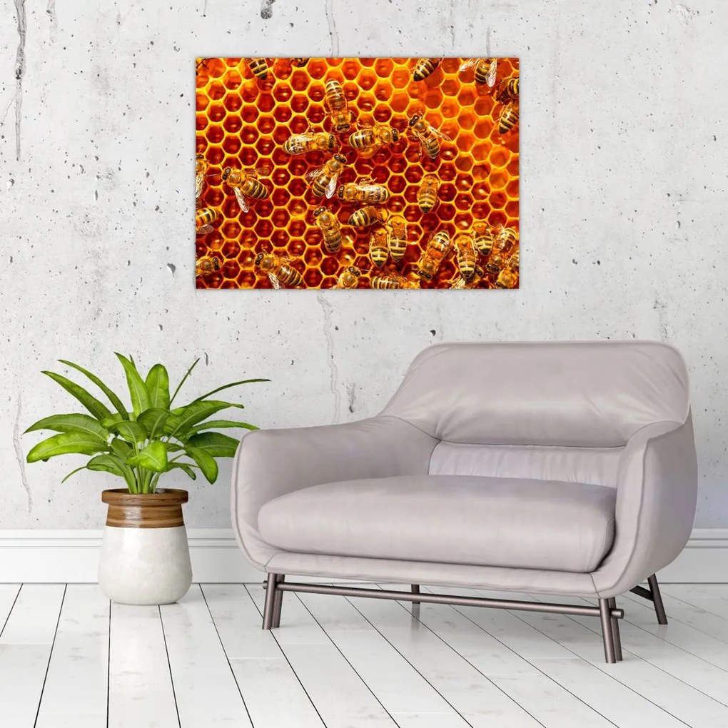 Obraz - Plaster miodu (70x50 cm)