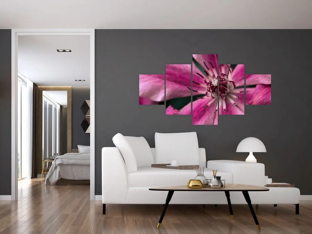 Obraz różowego kwiatu powojnika (125x70 cm)