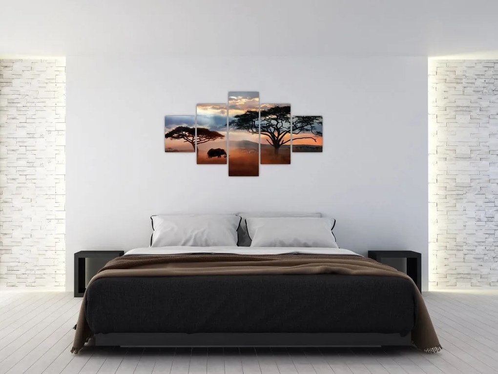 Obraz - Park Narodowy Serengeti, Tanzania, Afryka (125x70 cm)