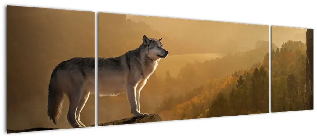 Obraz wilka na skale (170x50 cm)