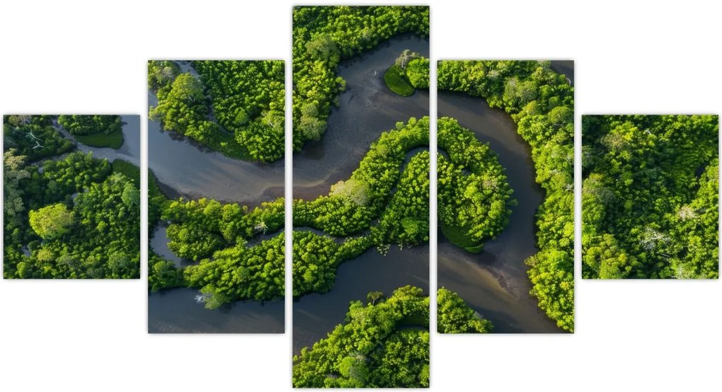 Obraz - Krajobraz leśny z rzeką (125x70 cm)