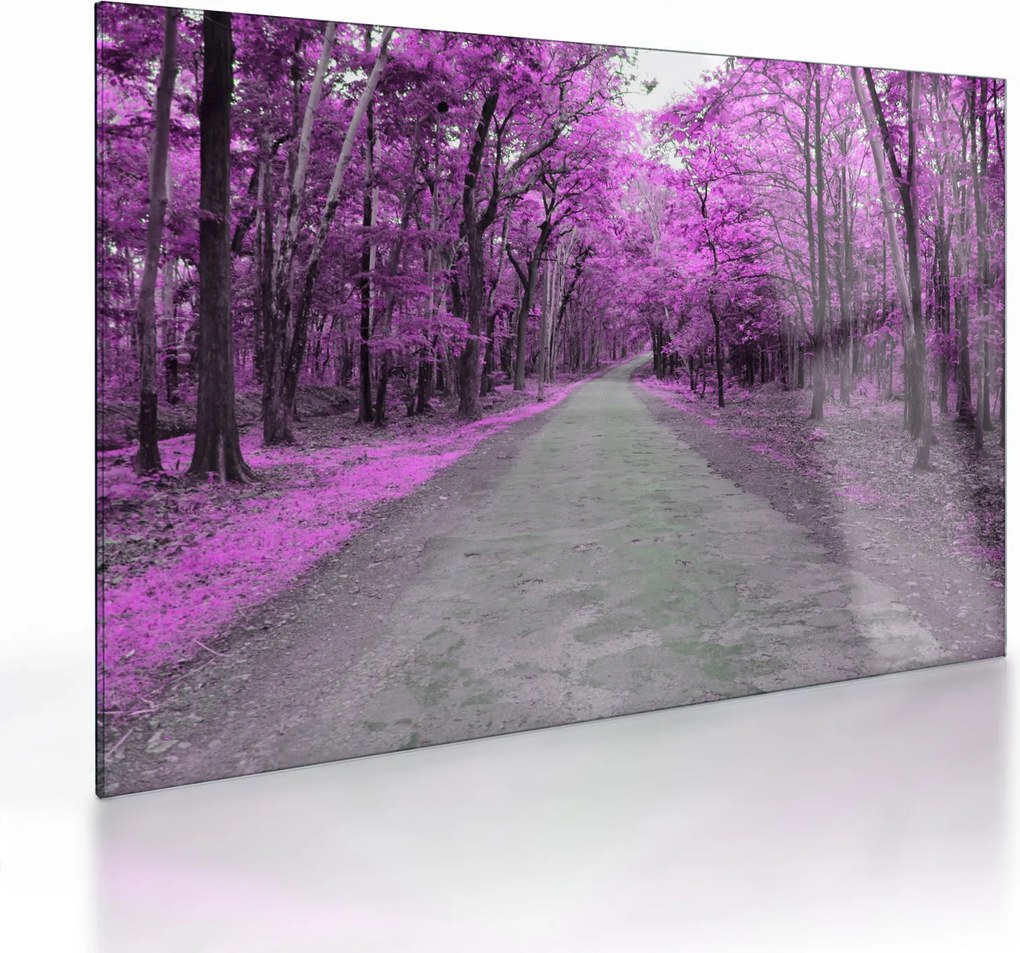 Obraz na szkle - Ścieżka przez park (70x50 cm)