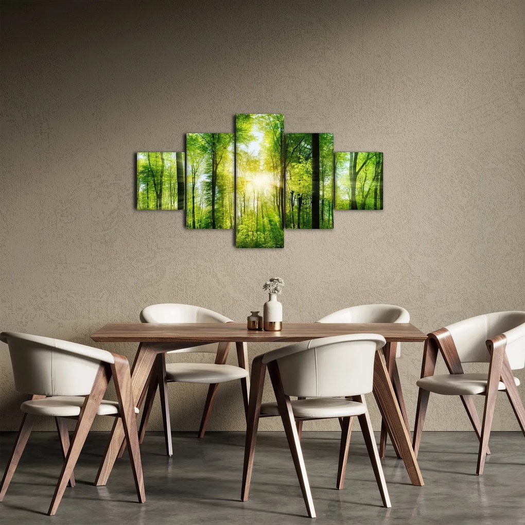 Obraz - Świt w lesie (125x70 cm)
