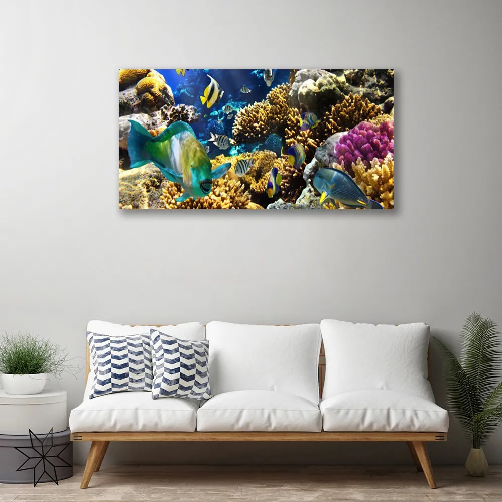 Obraz canvas na ścianę Kolorowe Życie Rafy Koralowej