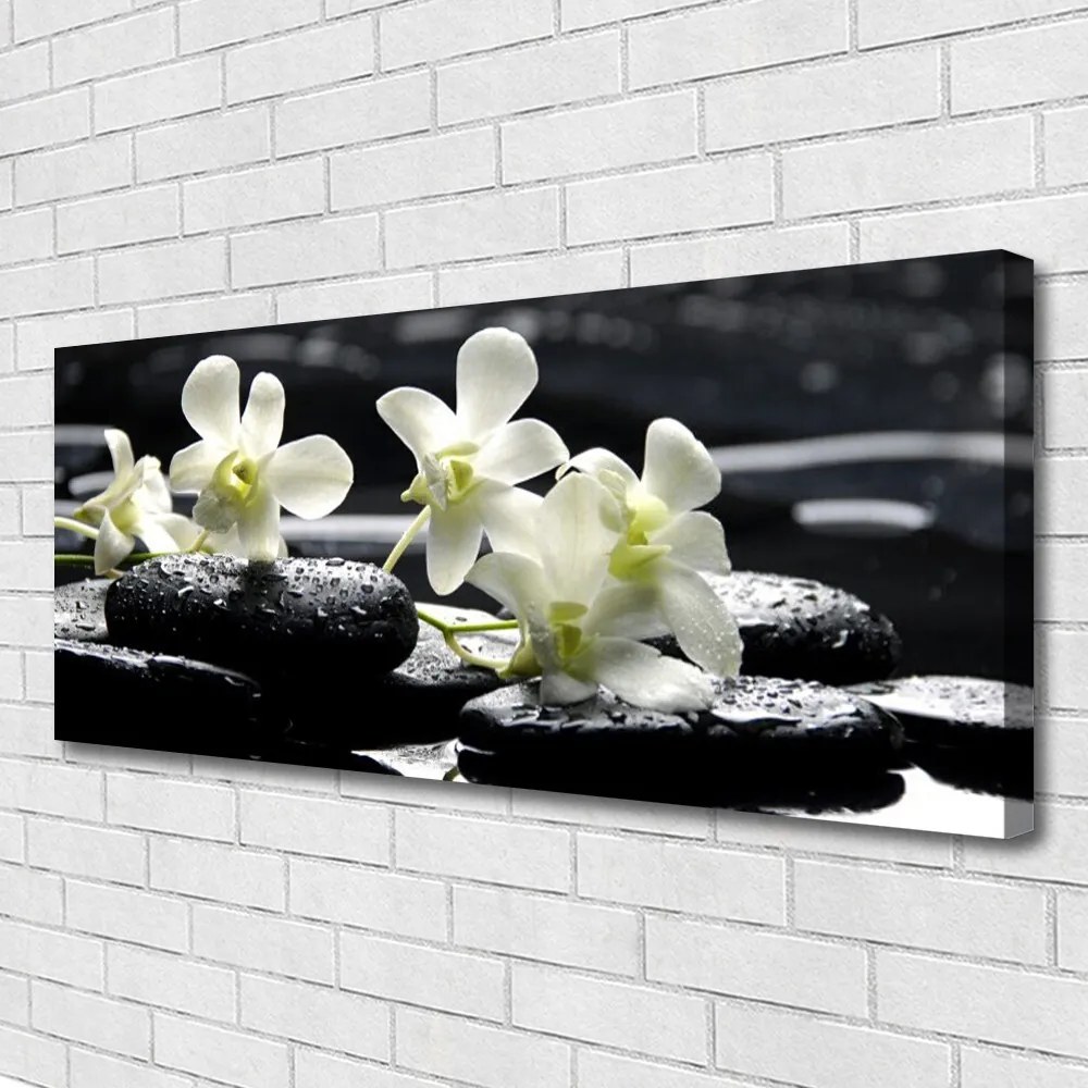 Obraz na płótnie Storczyk na Gładkich Kamieniach